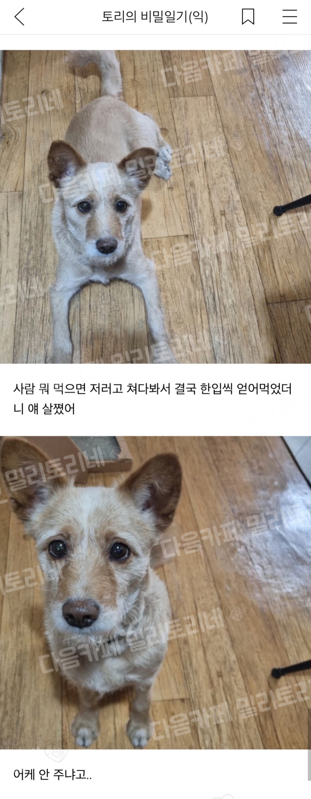 아 진짜 조용히 고구마 한입 물었는데 고구마 귀신 왔어 | 인스티즈