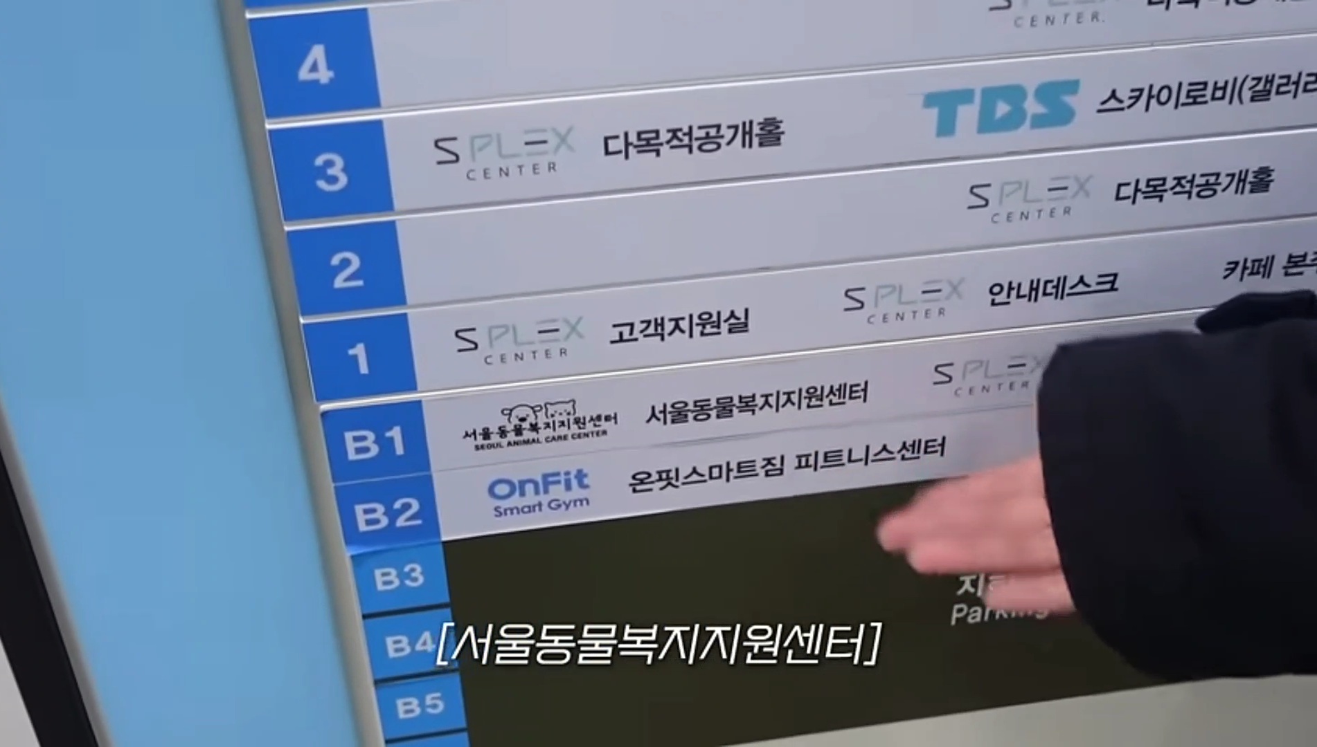 드디어 강아지 입양한 가비.youtube | 인스티즈