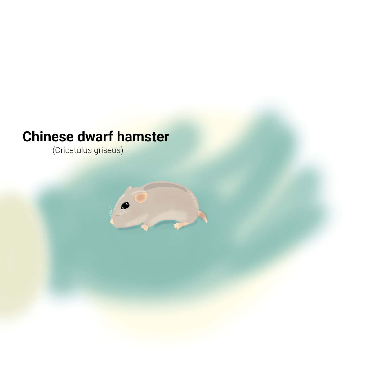 햄스터가 외계행성의 지배자가된 세계관 | 인스티즈