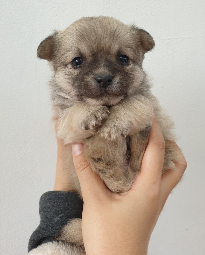 (공지라니... ++추가)새로생긴 회사 복지.. 미쳐서 도저히 일을 못하겠네.. (추가....)++추가 | 인스티즈