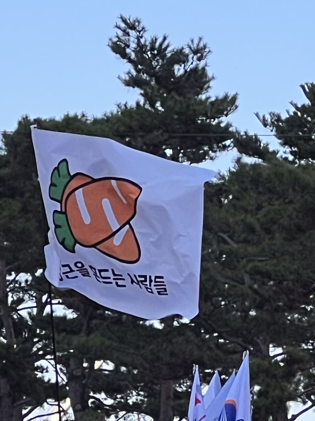 탄핵 시위= 대짱잼 깃발 대회 | 인스티즈