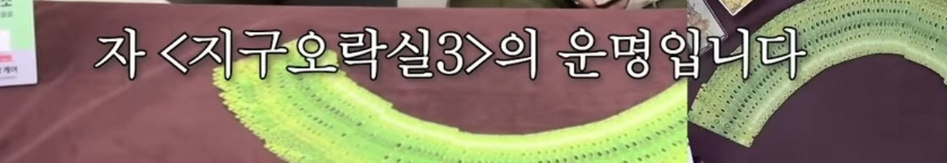 흥미로운 지락실3 운명 타로 | 인스티즈