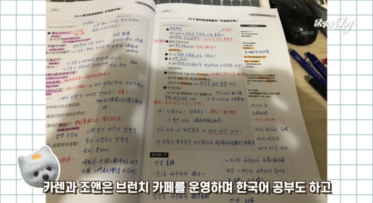 강아지 달리를 너무 좋아해서 가게이름도 달리로 지은 대만팬.jpg | 인스티즈