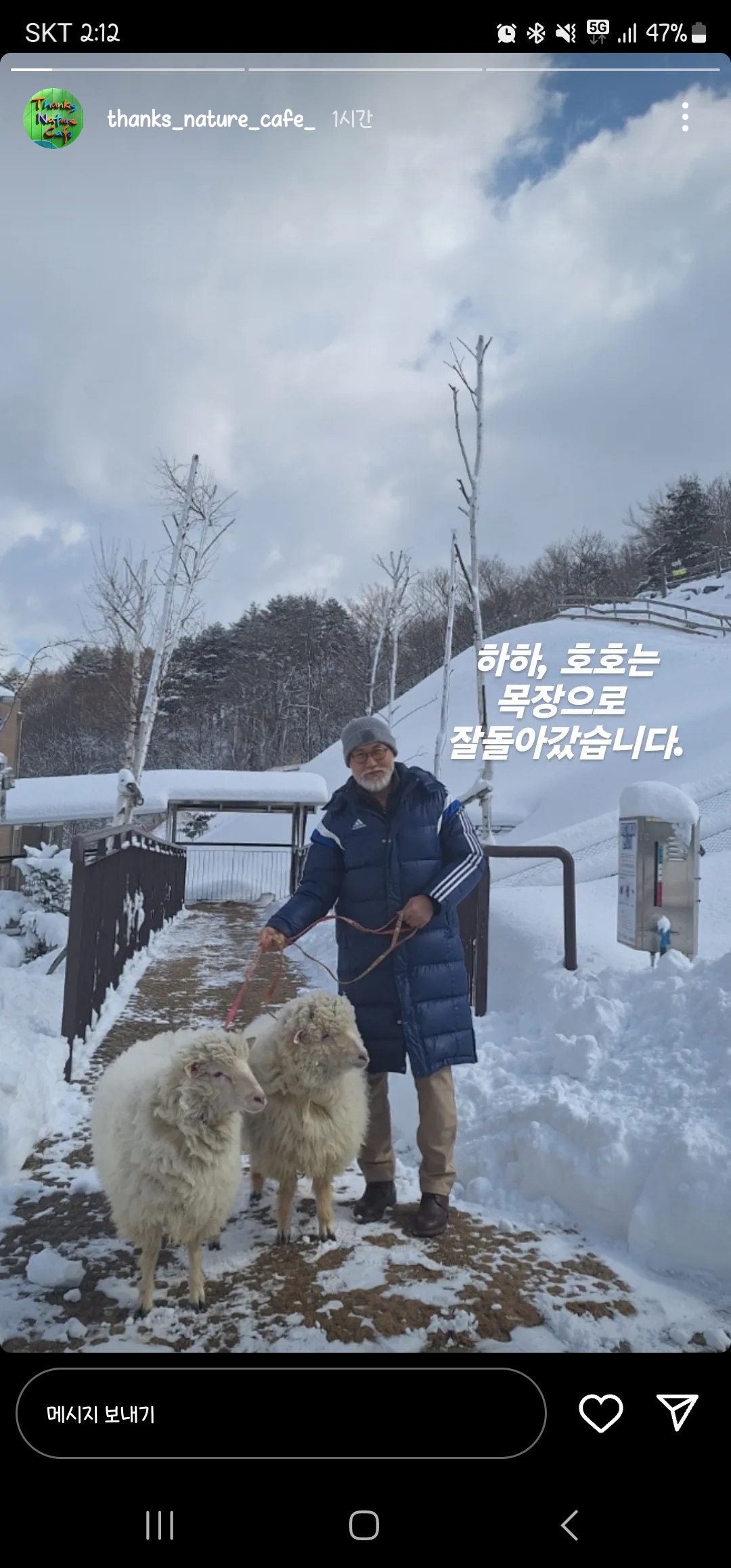 NEW) 홍대 양카페 새로운 양 친구들 🐑 | 인스티즈