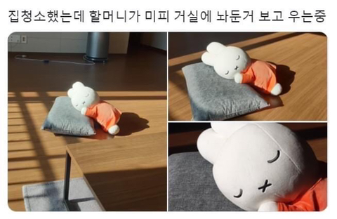 미피 재우는 할머님 | 인스티즈