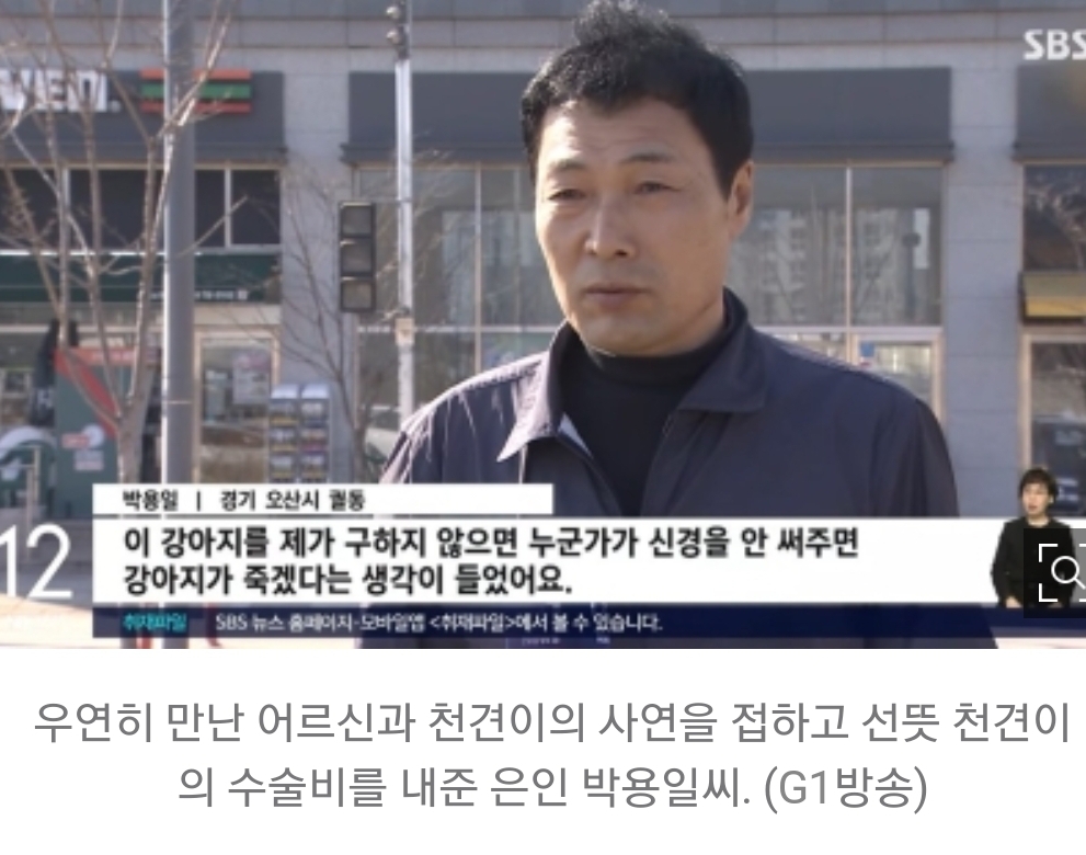 홀몸노인 반려견, 수술비 없어 죽음 기다리다…'우연한 만남' 회사원이 쾌척 | 인스티즈