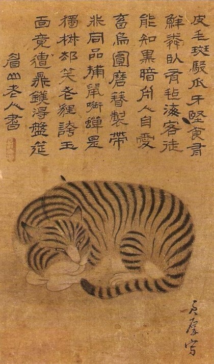 우리나라는 왜 고양이를 "나비야~"라고 부르게 됐을까 | 인스티즈