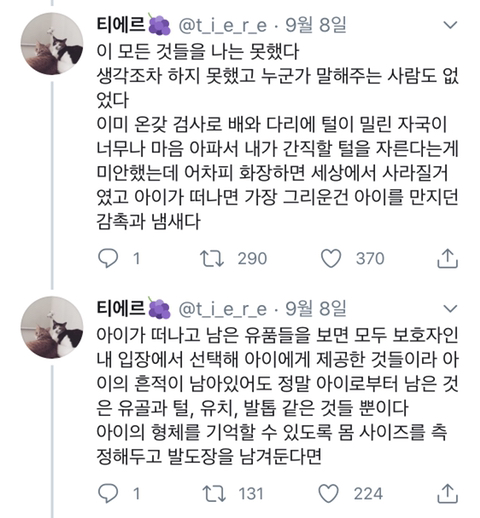 우리는 정말 공정한 세상에서 사[스크랩] 반려동물의 장례를 준비하며 참고할 것들는가? (능력주의의 문제점, 당신이 생각하는 모든게 바뀔 수 있는 글) | 인스티즈