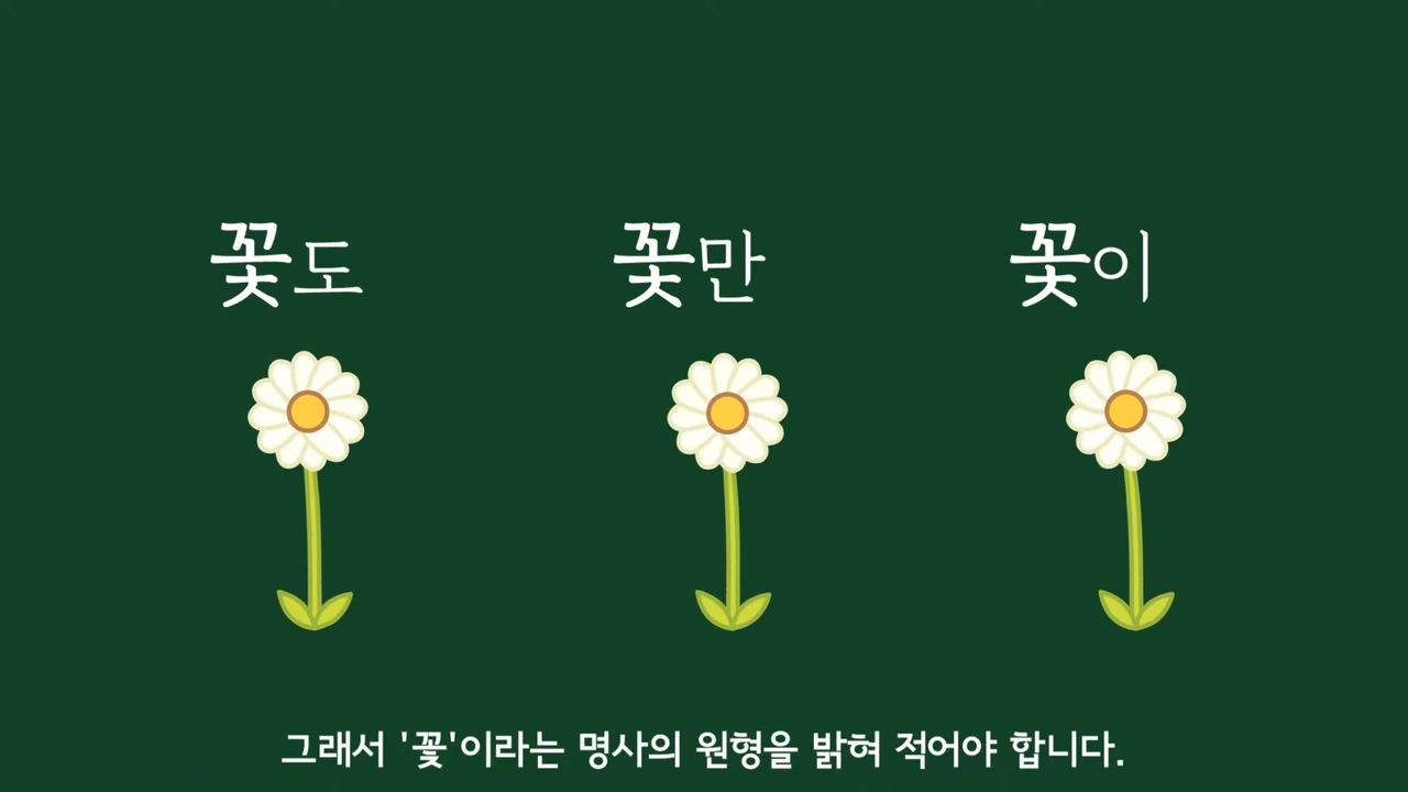 몇 일은 왜 며칠이라고 써야 맞는 걸까? | 인스티즈