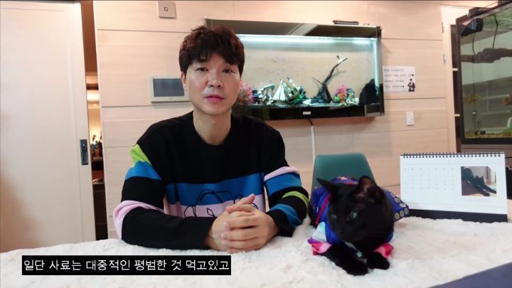 박수홍이 키우는 고양이 모질 | 인스티즈