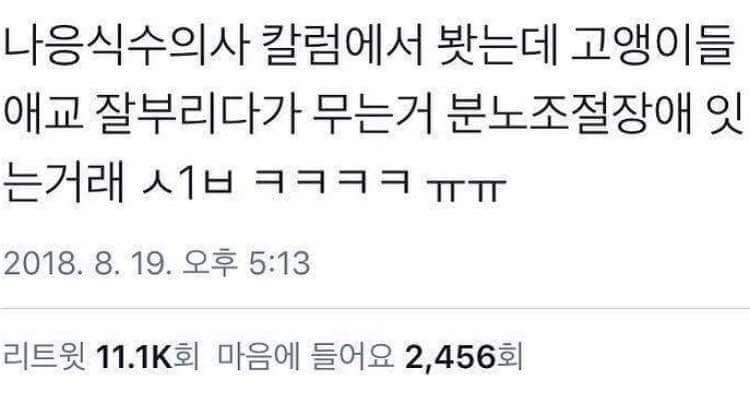 나응식 수의사: 애교 잘 부리다 갑자기 무는 고양이 있죠? | 인스티즈