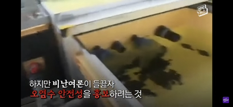 방사능 오염수에서 자란 맛 좋은 일본 광어 | 인스티즈