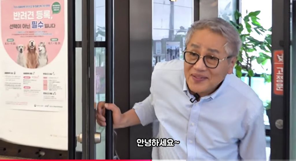 산불로 한쪽다리를 잃은 고양이가 받은 선물 🎁 | 인스티즈