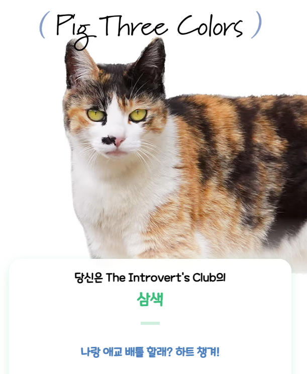 haha ha 양어장 고양이 mbti (냥bti) 테스트 | 인스티즈