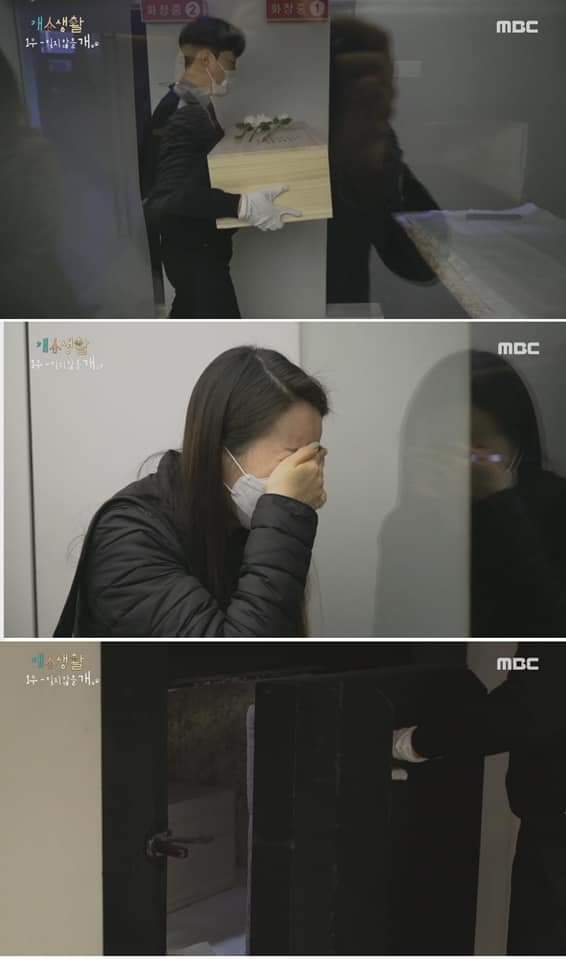 무지개 다리를 건넌다는 것 | 인스티즈