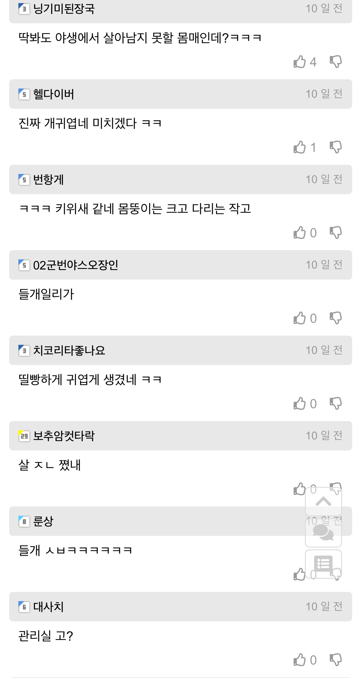 길잃은 뚱쭝 치와와 주인 찾아준 개드립인 | 인스티즈