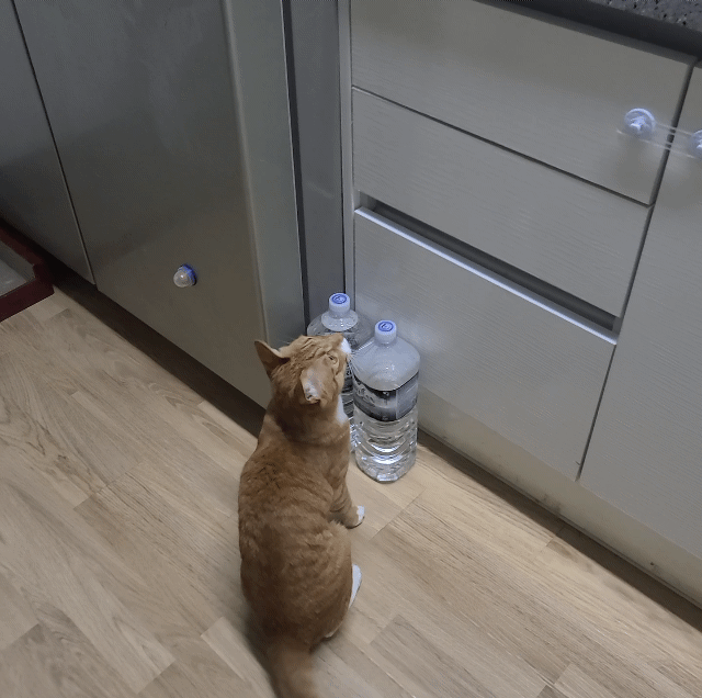 가... | 인스티즈