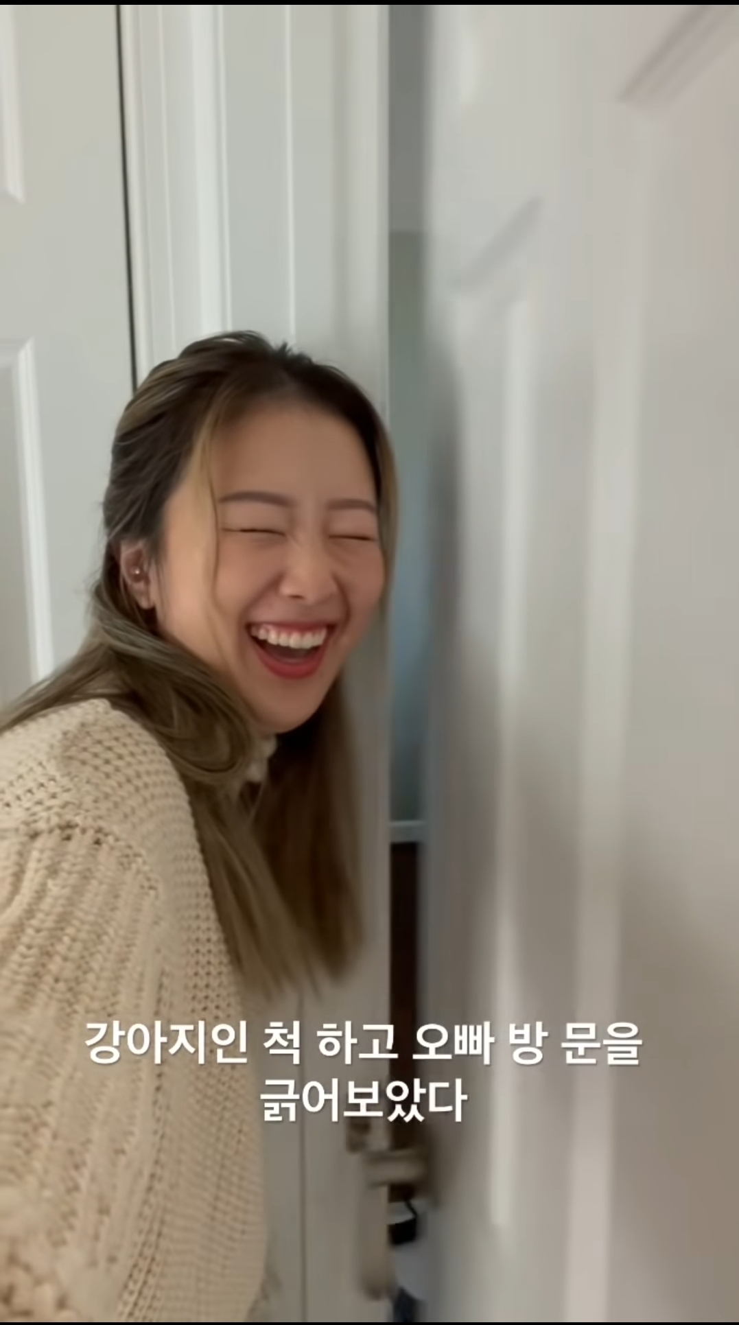 강아지인척하고 오빠 방문을 긁어보았다 | 인스티즈