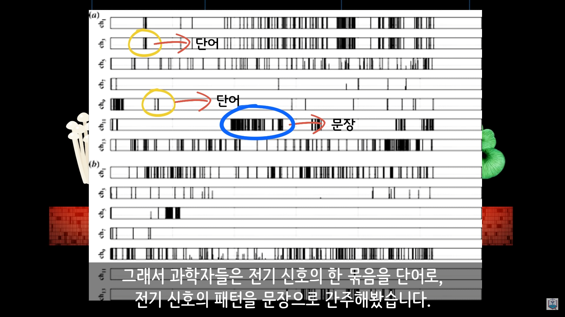 버섯이 단어와 문장을 사용해 서로 대화하고 있을지도 모른다고? | 인스티즈