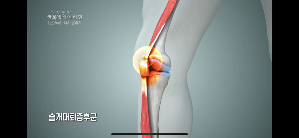 972b2012164b5f3aaeede40110466eda81077912