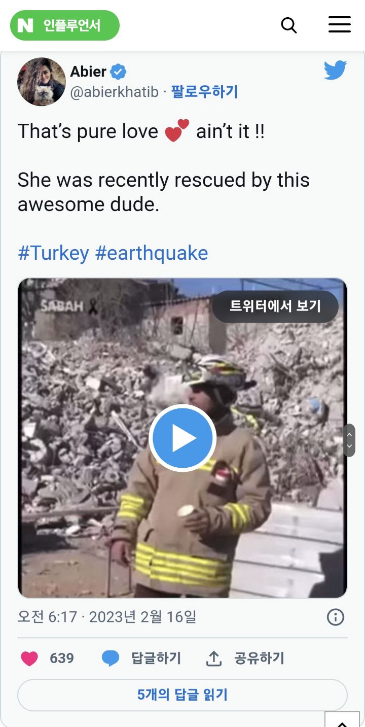 건물잔해 더미에서 129시간 만에 구조된 뒤 구조대원 곁 한시도 떠나지 않는다는 고양이 | 인스티즈