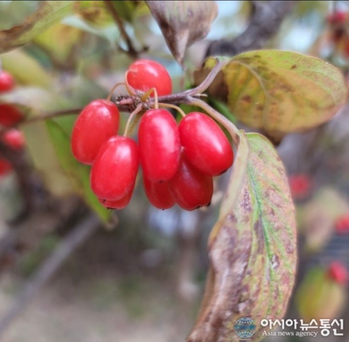 솔직히 제일 꿀 빤 90년대생 | 인스티즈