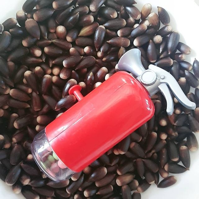 977b91b33abff75779c73ccafcb1cd784040e307