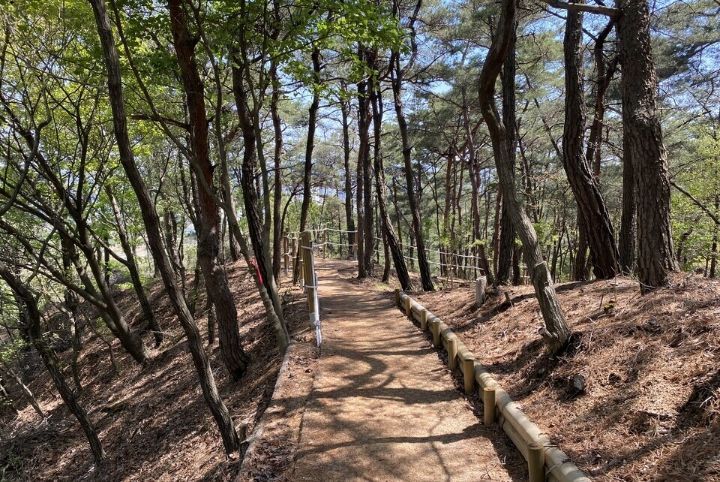 사주팔자 TMI "간단하고 돈 많이 안드는 액땜방법" | 인스티즈