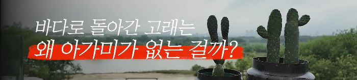 바다로 돌아간 고래는 왜 아가미를 만들지 못했는가 | 인스티즈