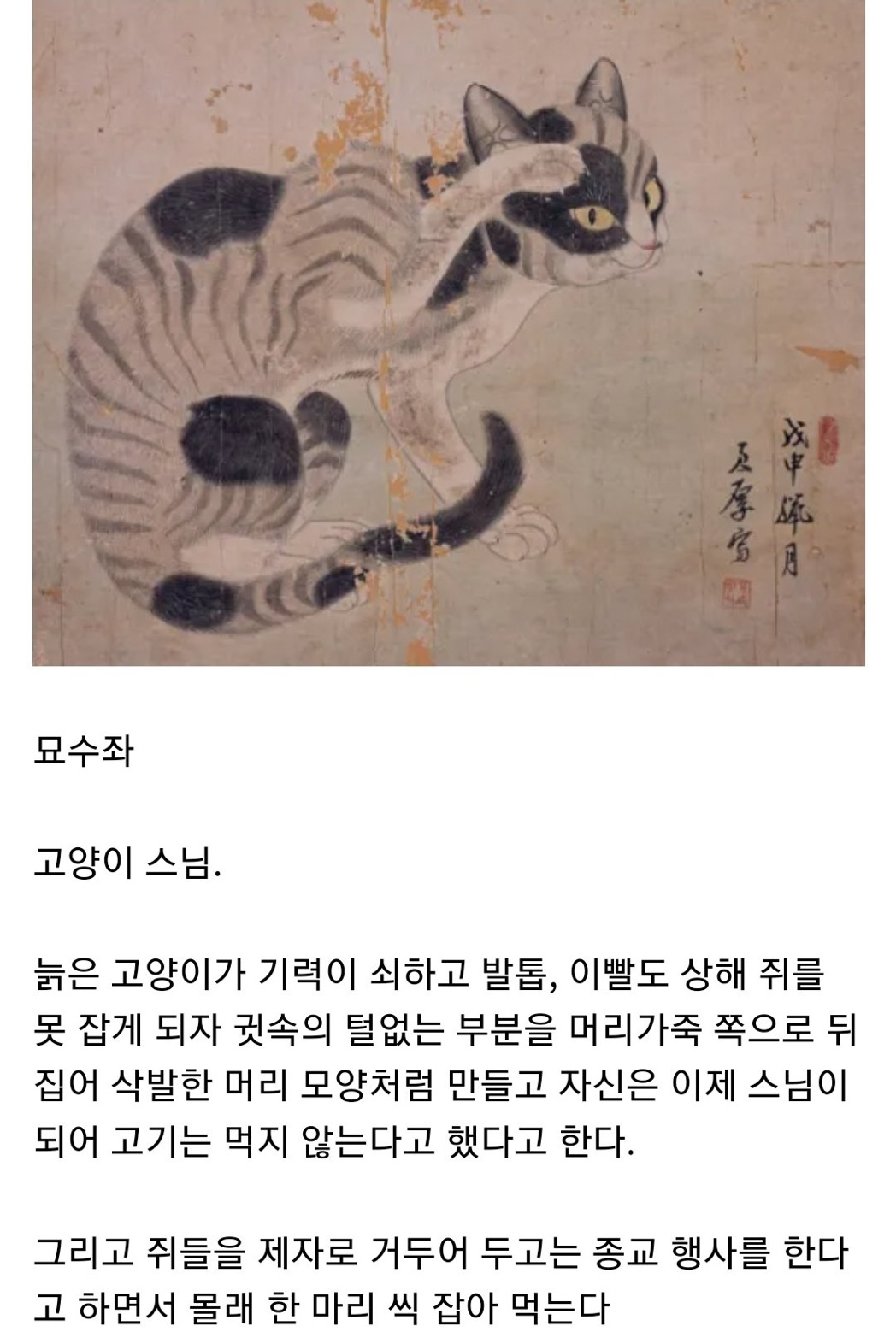 고양이 스님 묘수좌 - 악플달면 쩌리쩌려버려 - ＊여성시대＊ 차분한 20대들의 알흠다운 공간 고양이 스님 묘수좌