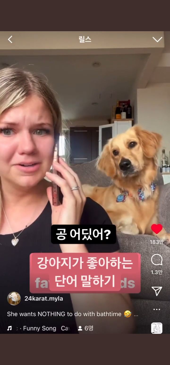 강아지가 좋아하는 단어 말하기 | 인스티즈