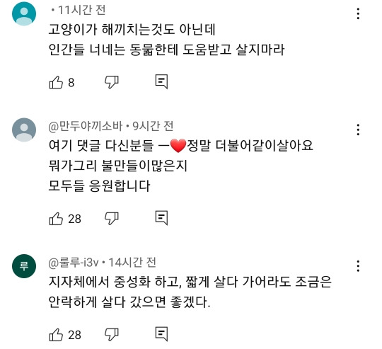 예전과 달라진 길고양이 급식소 겨울집 여론 | 인스티즈