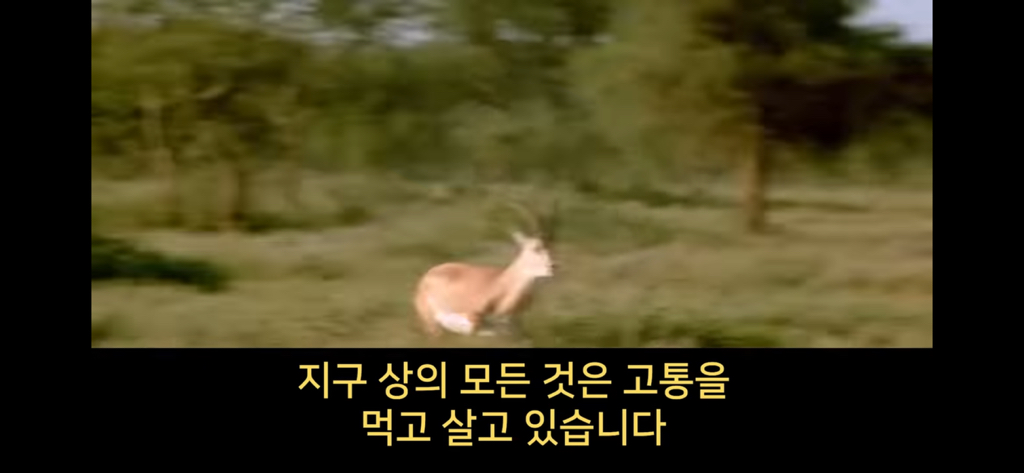 지구에서 환생 안하는방법🌏 | 인스티즈