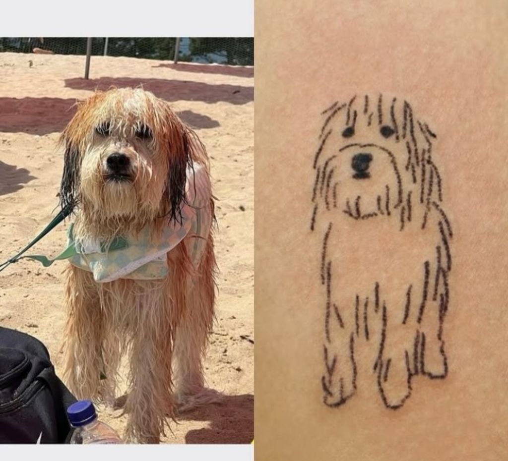 애매한데 비슷한 느좋 동물 타투들 | 인스티즈