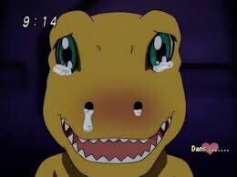 무지개다리 건넌 반려동물을 만난 사람들 | 인스티즈