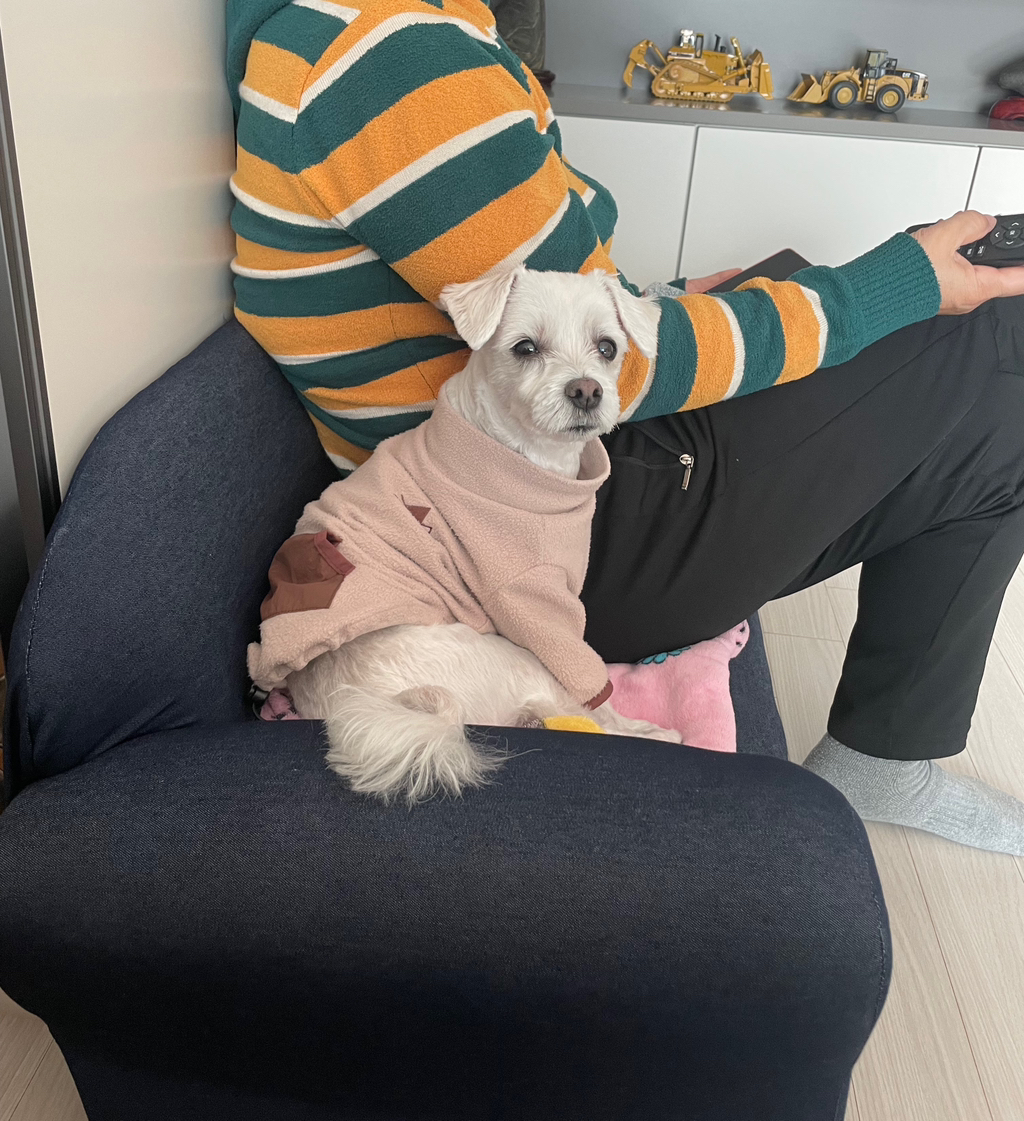 우리집개 찐따 그 잡채 | 인스티즈