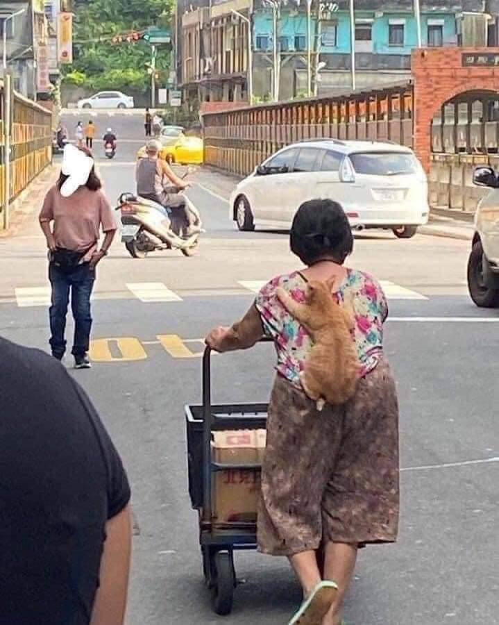 껌딱지네 이미지