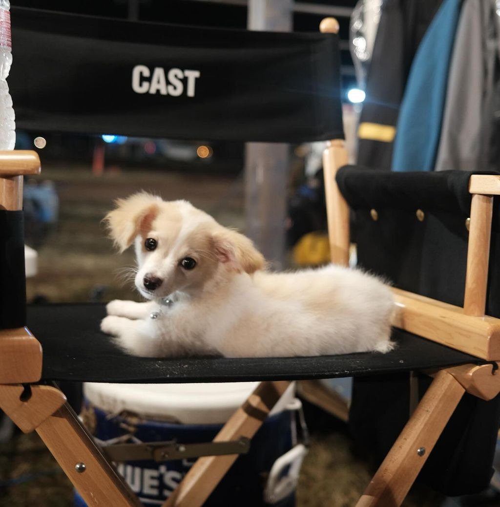 동물 구호 단체에서 유기견 입양한 행맨 | 인스티즈