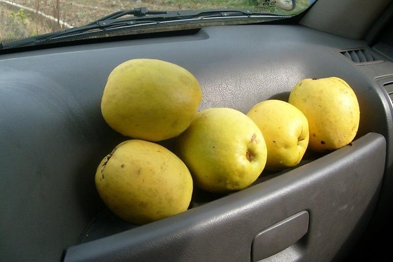 차멀미 간접체험 하기 | 인스티즈