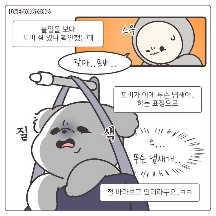 산책 중 사람이 실내배변을 할때 강아지 반응 | 인스티즈