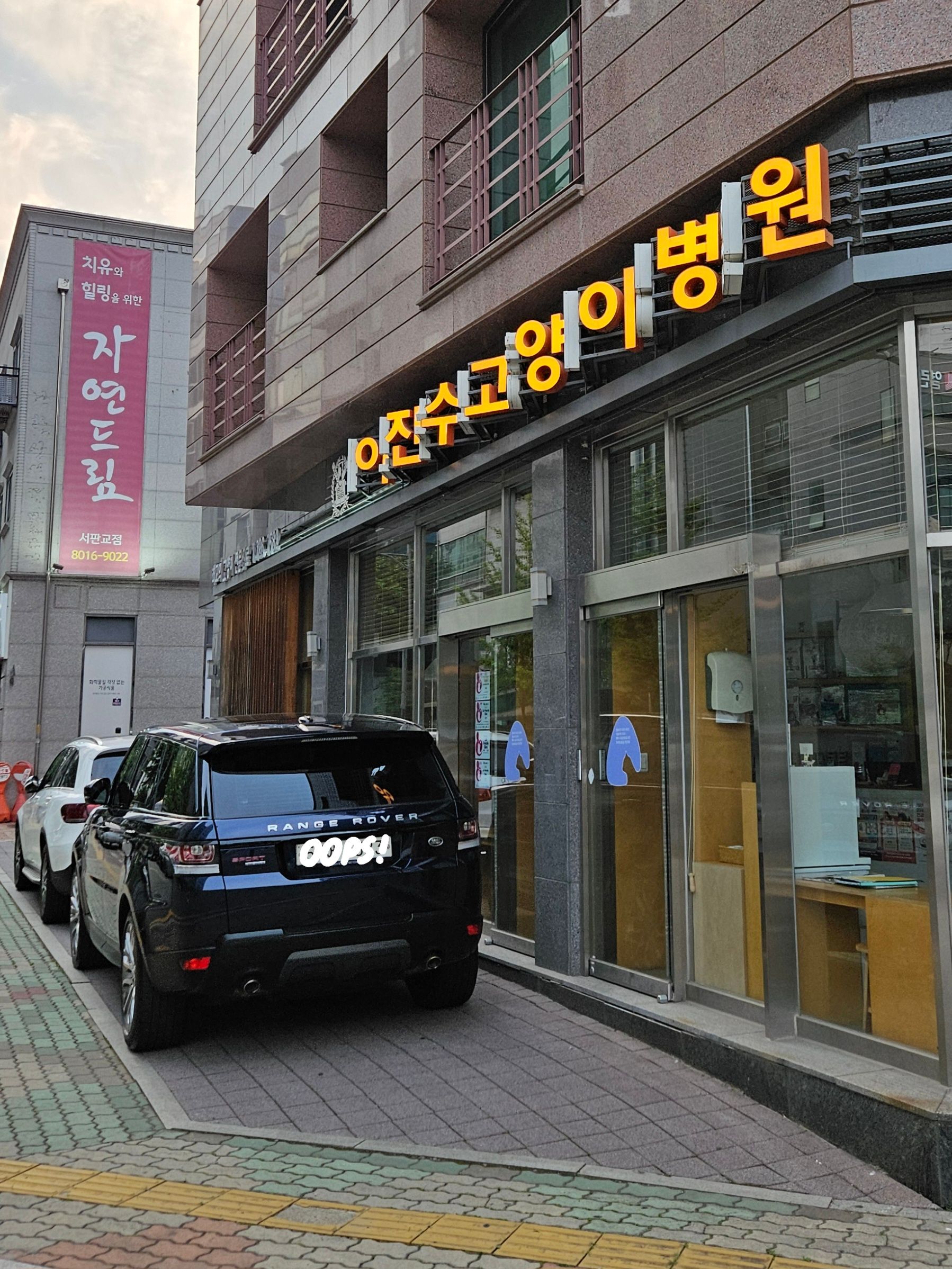 센스 좋은거 같은 고양이병원 간판 | 인스티즈