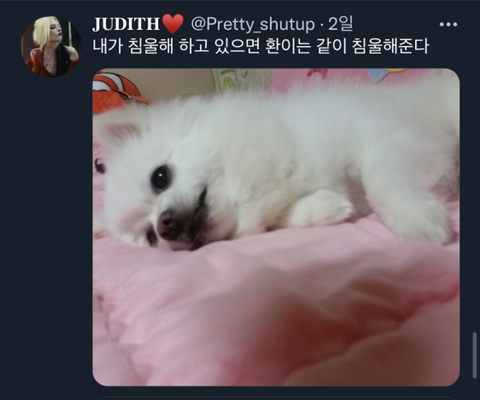 내가 침울해 하고 있으면 -가 -해준다 .twt | 인스티즈