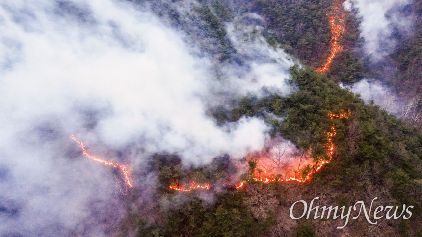 '적은 비지만 고마워'... 경북 산불 진화율 85% | 인스티즈