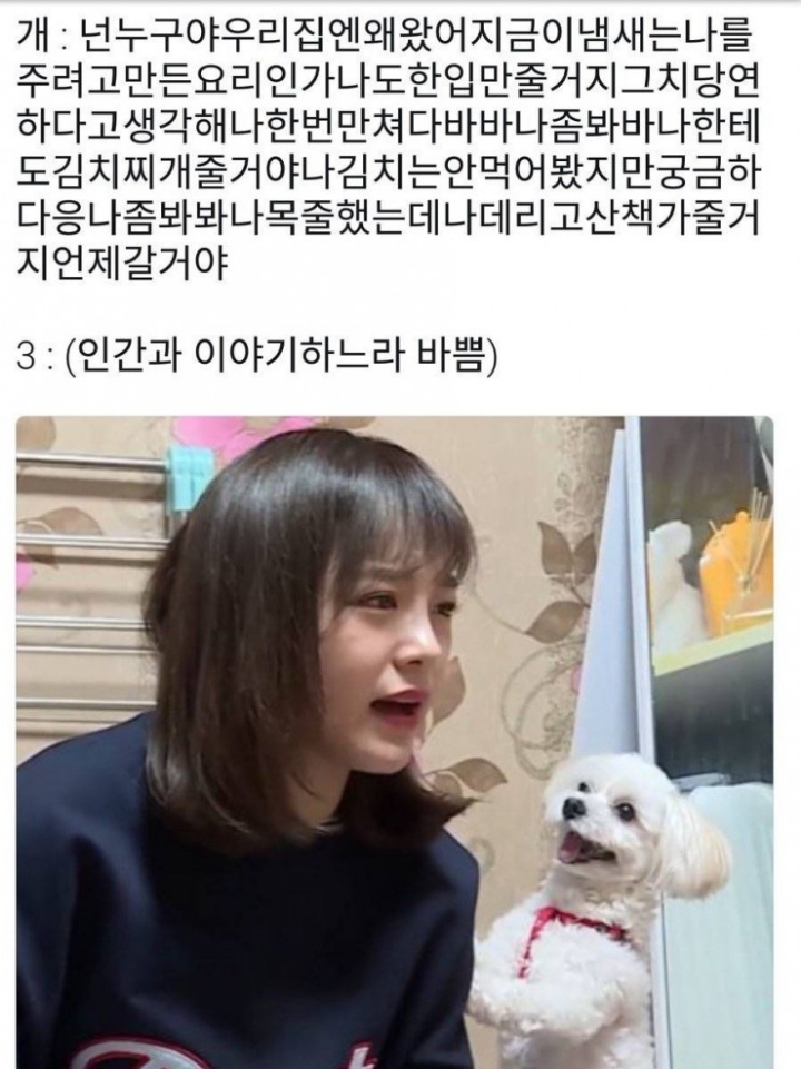 넌누구야우리집엔왜왔어.jpg | 인스티즈