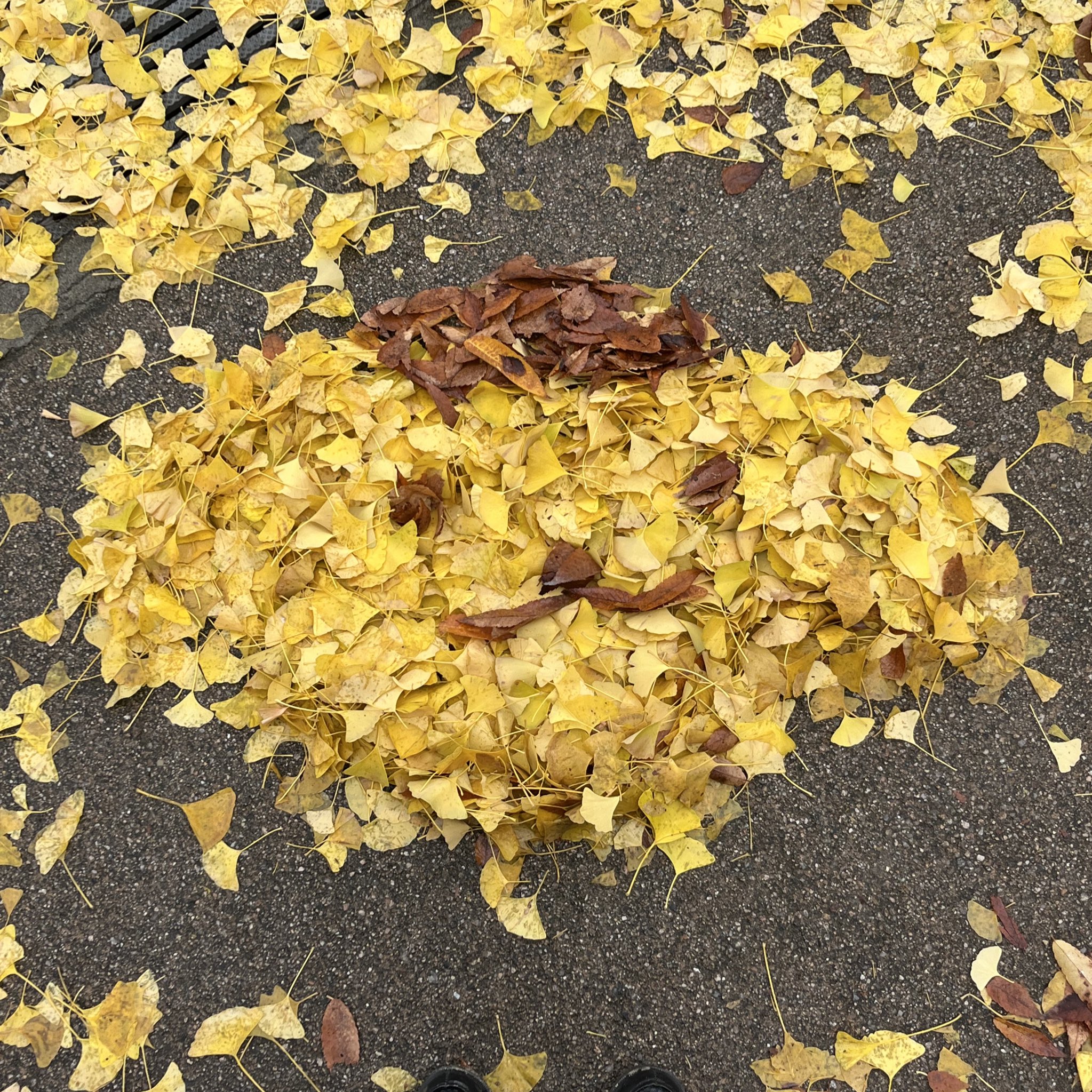 돌아가기엔 이미 너무 많이 와버렸고, 버리기에는 차마 아까운 시간입니다.twt | 인스티즈