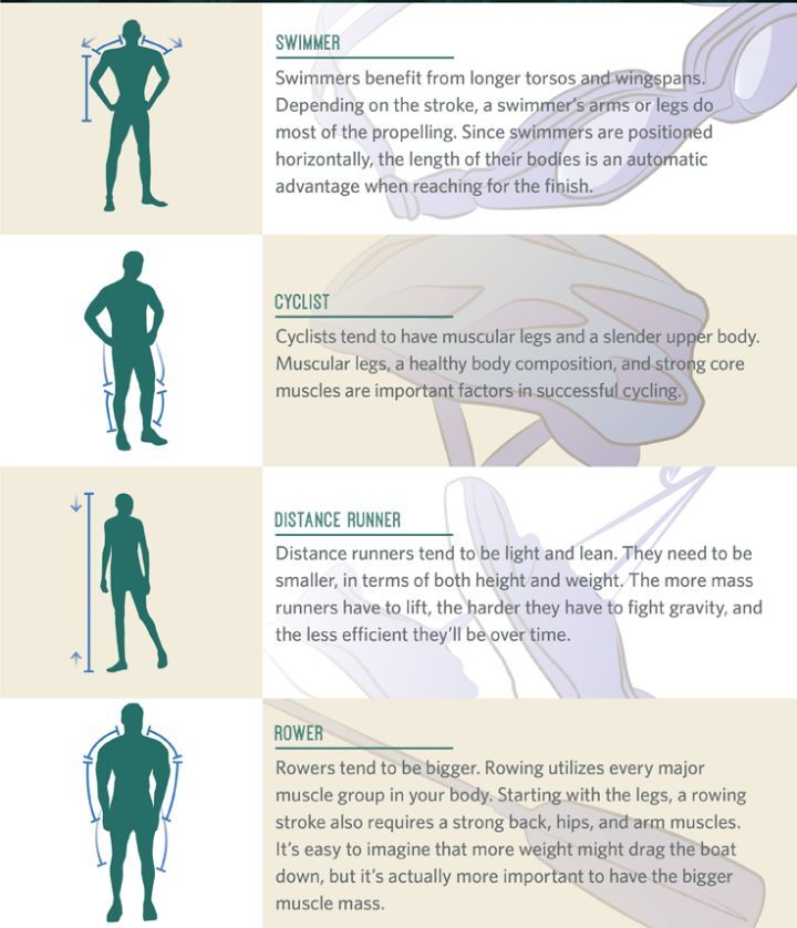 각각의 운동에서 사용되는 근육과 체형 | 인스티즈