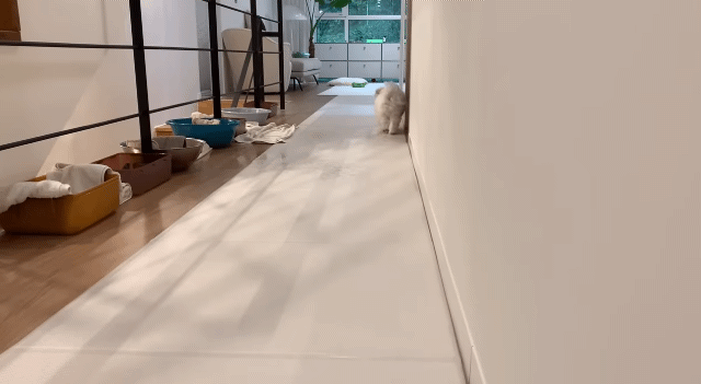 새로 이사온 주택에 물이 새요.jpg | 인스티즈