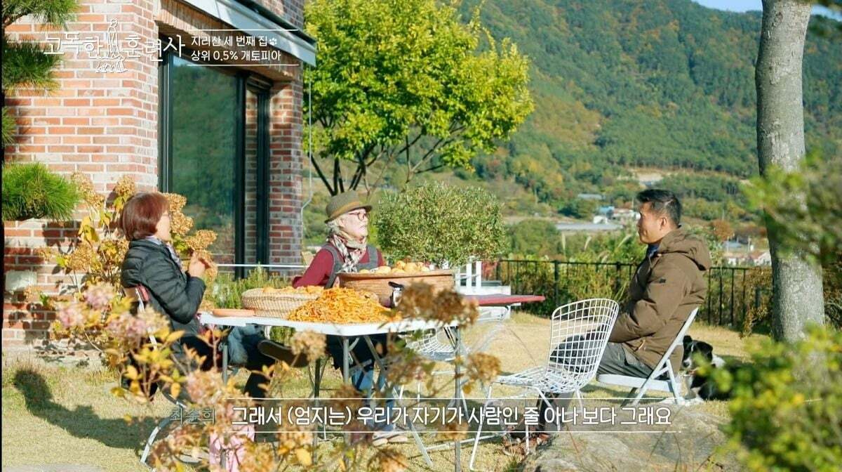 말티즈가 예민하고 잘 짖는 이유.jpg | 인스티즈