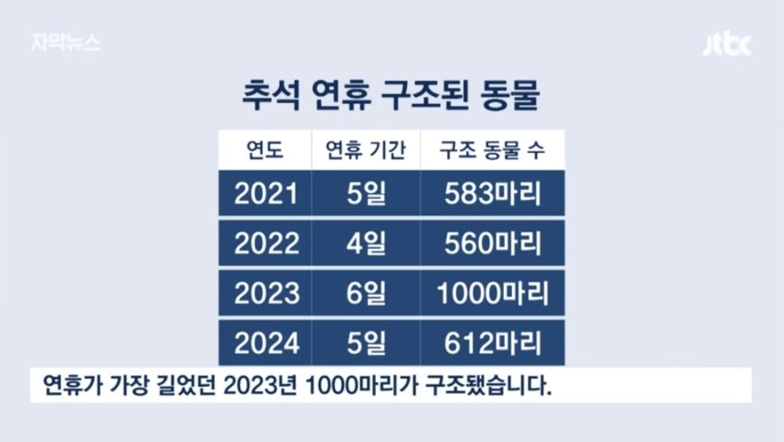6일 동안 1000마리 버렸다... 연휴가 불러온 악순환 | 인스티즈