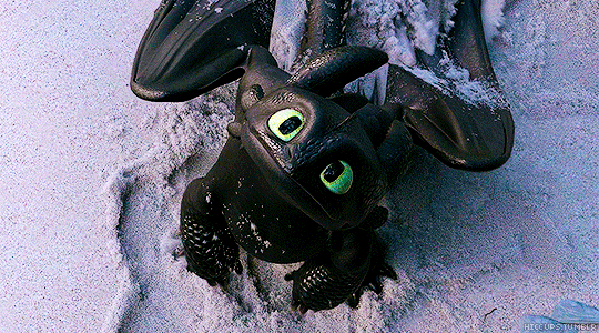 여시라면 애기 투슬리스 보호해준다? 신고한다? | 인스티즈